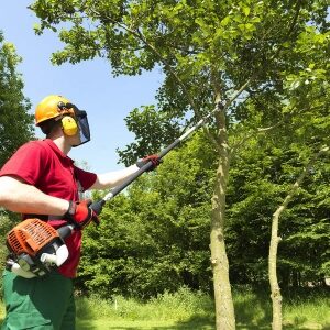 Dolmar Kettingzaag op steel