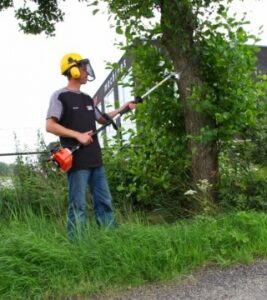 Dolmar Heggenschaar op steel